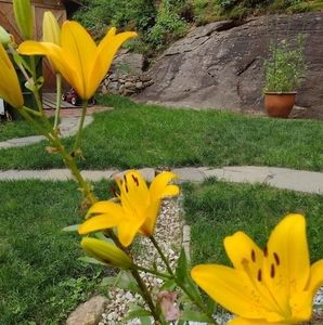 Meet your Posher, Carmen